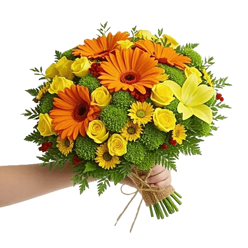 Petal Harmony Bliss