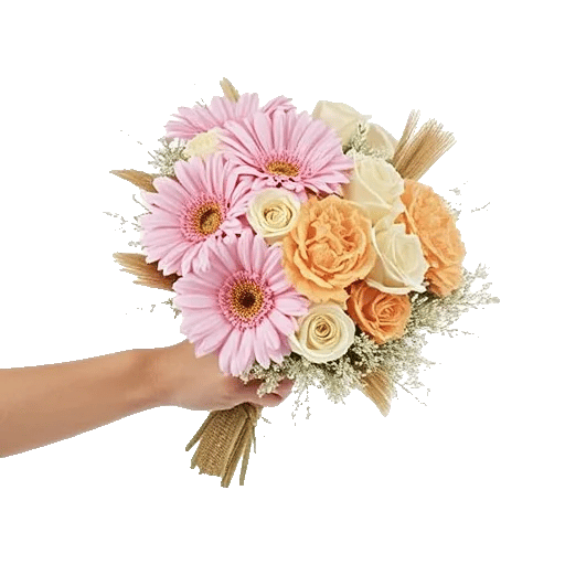 Pastel Pink Roses