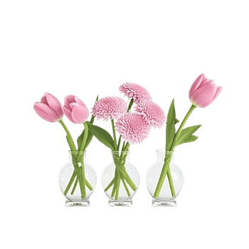Velvet Tulip Display