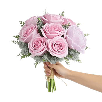 Pastel Pink Roses