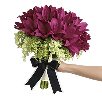 Elegant Calla Lilies