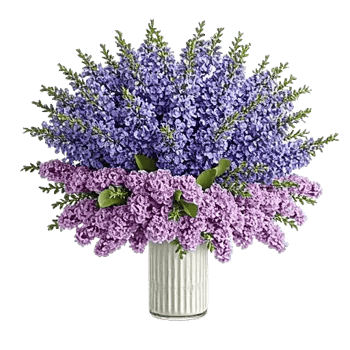 Lavender Bloom Grace