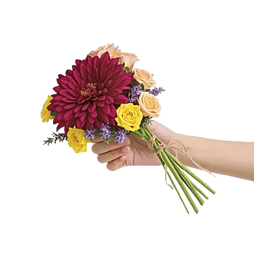 Crimson Blossom Harmony