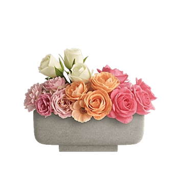 Ivory Blossom Radiance