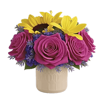 Pink Pastel Roses