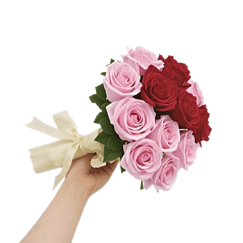 Crimson Rose Elegance
