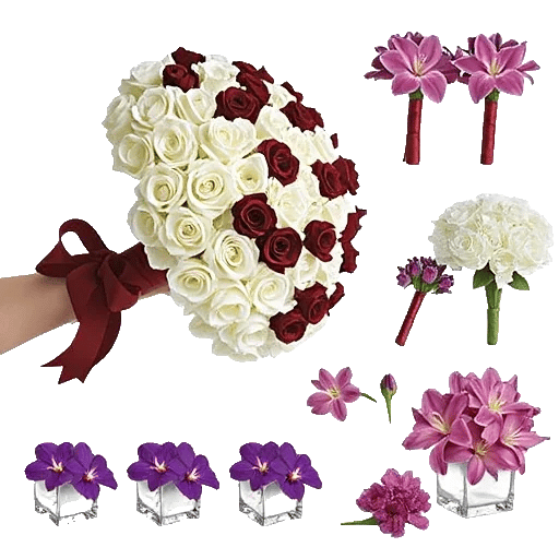 Elegant Calla Lilies