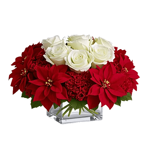 Delicate Petal Cascade