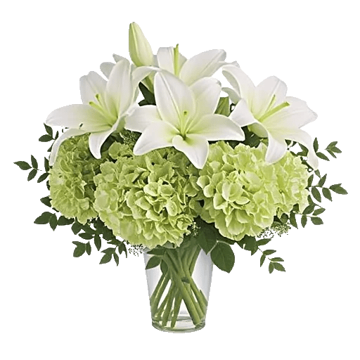 Ivory Blossom Radiance