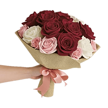 Blushing Rose Symphony