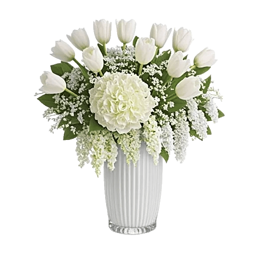 Ivory Blossom Radiance