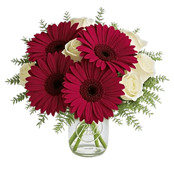 Petal Radiance Bliss