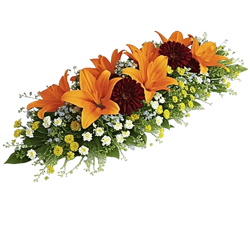 Radiant Bloom Cascade