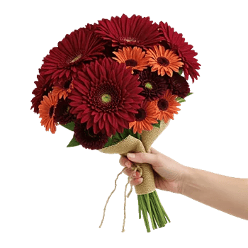 Crimson Blossom Harmony