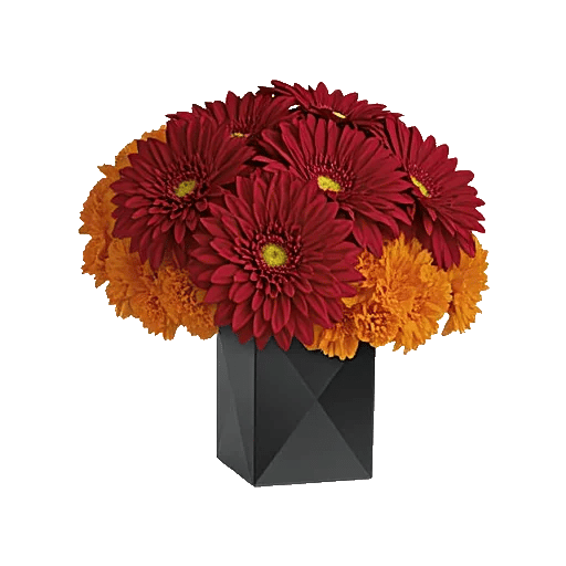 Crimson Blossom Harmony