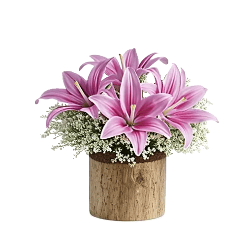 Elegant Calla Lilies