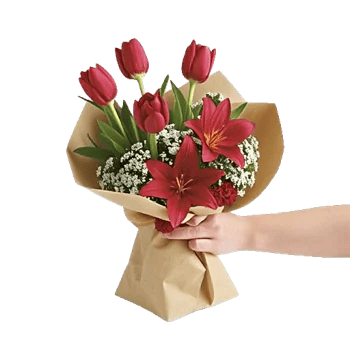 Scarlet Tulip Splendor