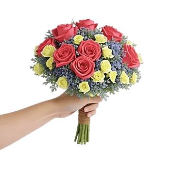 Pastel Pink Roses
