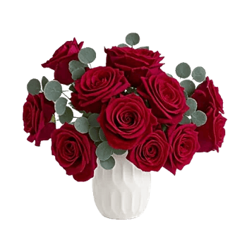Crimson Rose Elegance