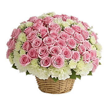 Blushing Rose Symphony