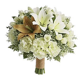 Ivory Blossom Radiance