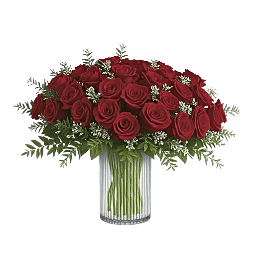 Crimson Rose Elegance