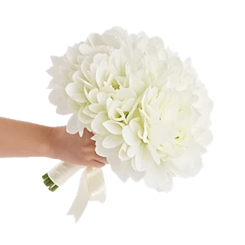 Ivory Blossom Radiance