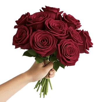 Crimson Rose Elegance