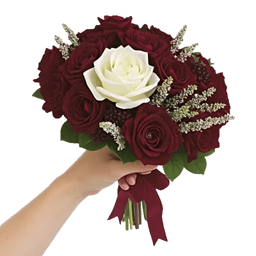 Blushing Rose Symphony