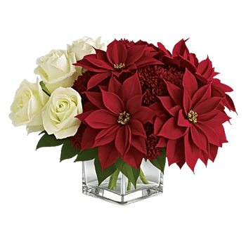 Delicate Petal Cascade