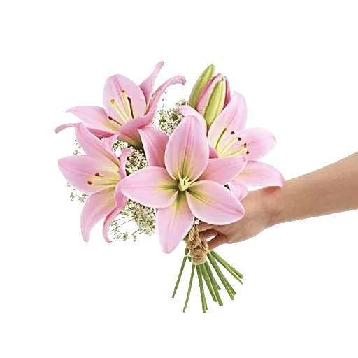 Graceful Lily Display