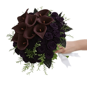Elegant Calla Lilies