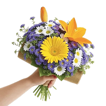 Petal Harmony Bliss