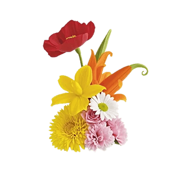 Petal Radiance Bliss