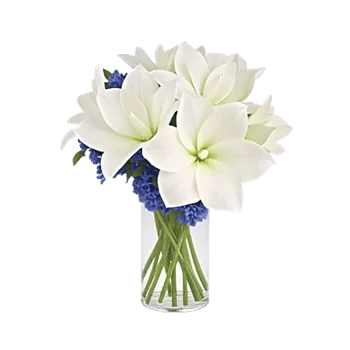 Graceful Lily Display