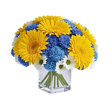 Radiant Bloom Cascade