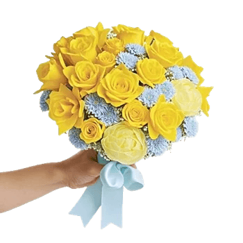 Blossom Harmony Display