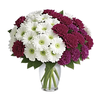 Petal Radiance Bliss