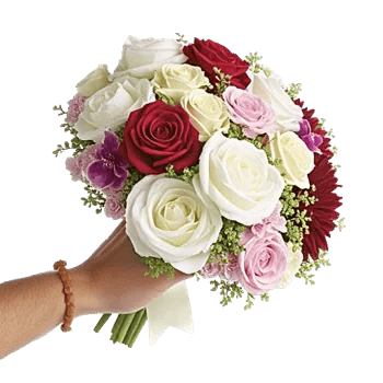 Petal Grace Harmony