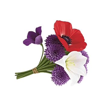 Ivory Blossom Radiance