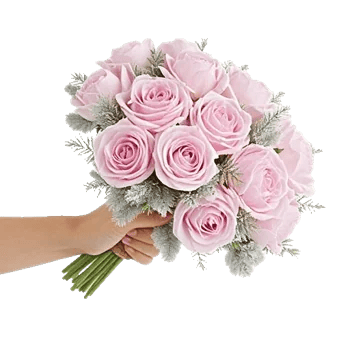 Pastel Pink Roses