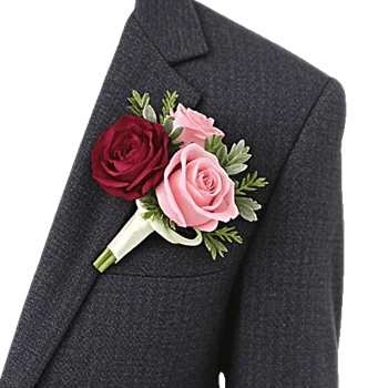 Plum Blossom Radiance