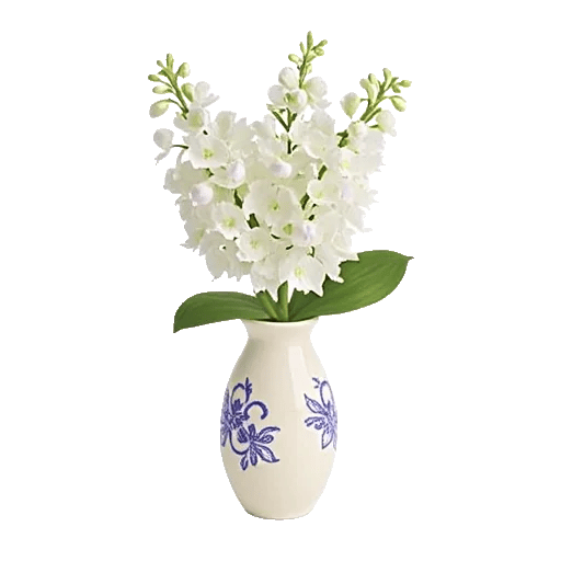 Ivory Blossom Radiance