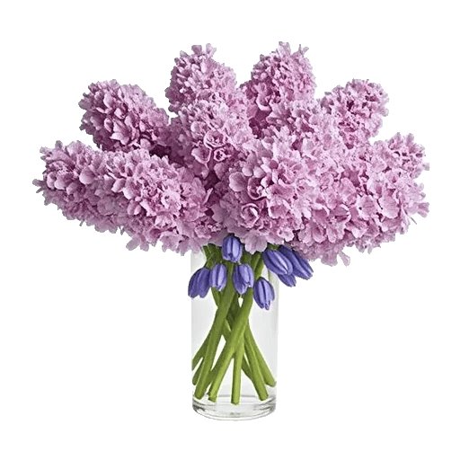 Lavender Bloom Grace