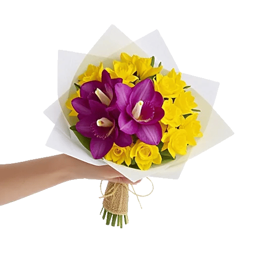 Serenity Orchid Bloom