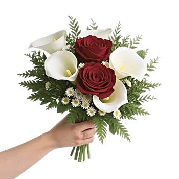 Elegant Calla Lilies