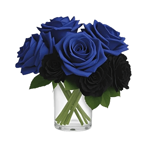 Elegant Blue Roses