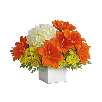 Serene Petal Harmony