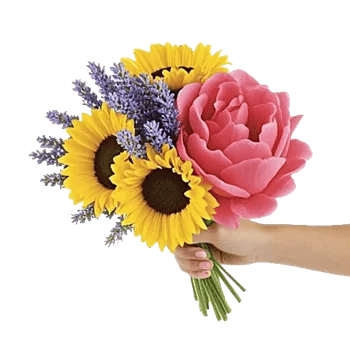 Twinkling Sunflower Dance