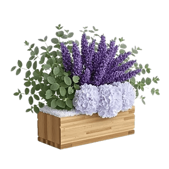 Lavender Bloom Grace